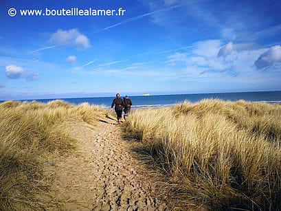 Dunes des Escardines Oye-Plage Chemin dans les dunes vers la mer du Nord aux Escardines — Oye-Plage, Côte d'Opale