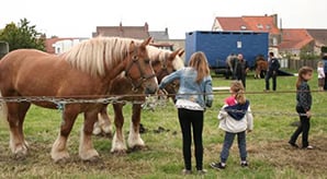 Ferme animalière Gravelines sortie famille Centre Équestre Municipal de Gravelines et sa ferme animalière dans un écrin de verdure — sortie famille Côte d'Opale